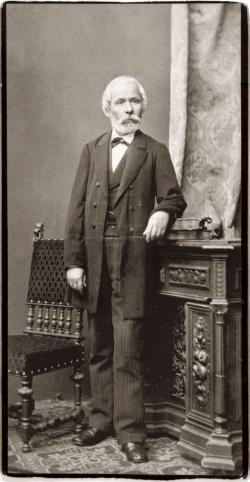 Arany János, Ellinger Ede felvétele, 1880