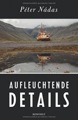 Aufleuchtende Details (2017)