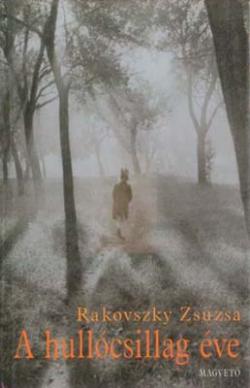 A hullócsillag éve (2005)