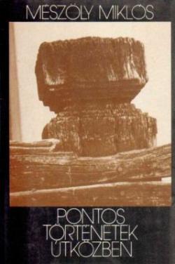 Pontos történetek útközben (1989)